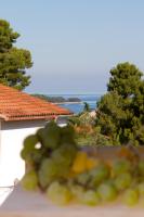 Studio Apartman Nega 2 - Ferienwohnung Rovinj