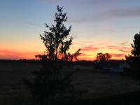 Loft Unterkunft in Hügelsheim - B&B Hügelsheim