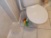 Double room with private bathroom in Flat London centre - Bed and Breakfast Londen
