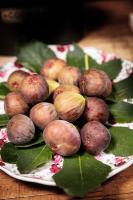 Agr. Cascina Fabbrica - B&B Fossano