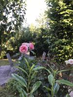 Pension Malwine - B&B Karlsruhe