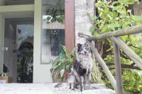 B&B Casa Gori - B&B Madice