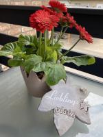 Apartment mit Balkon