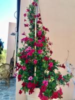 Le 25 Tartarughe - B&B Santa Teresa Gallura