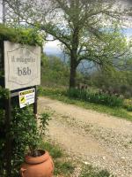 Il Mugello B&B - B&B