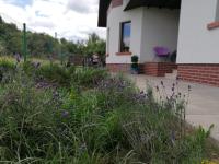 Chalet Bora - B&B