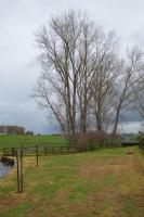 Poplar Creek - B&B Matamata