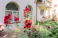 Dom Gościnny Zielono Mi - B&B Pobierowo