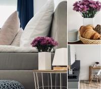 Wanderlust Trier - B&B Trier