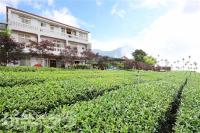 B&B Meishan - Ruili Ruitai Tea Factory BnB - Bed and Breakfast Meishan