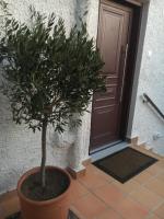 Villa Christina with private pool in Saronida, near stunning beaches, Athens airport & Sounio - Chambres d'hôtes Saronída