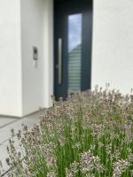 Ferienwohnung Weinbergblick - B&B