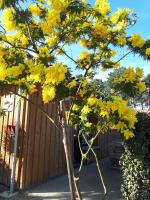 Mimosas - Bed and Breakfast