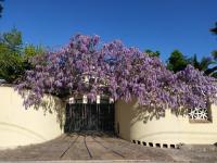 Tempio - B&B