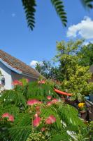 Das Nest - B&B