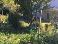 Casa in Königs GarteN - Ferienwohnung Intragna