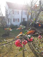Zum Scheunenhof - Bauernhaus - B&B