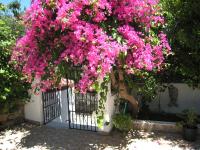 Eleftheria Lindian Studios II - Ferienwohnung