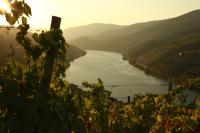 CASA da PISCINA, Quinta do Espinho, Douro Valley - B&B Tabuaço