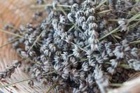 Appartement 1 Chambre (5 Adultes)