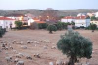 Casa dos Primos - B&B