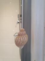 Camera King con Vista Mare 