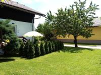 B&B Radovljica - Apartment Asher - Bed and Breakfast Radovljica