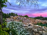 L'Gharix Temple Retreat - B&B Xagħra