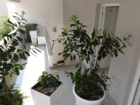 Studio mit Bergblick