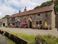 Plume of Feathers - B&B Blagdon
