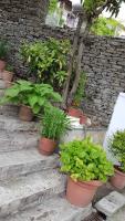 RIVA Guest House - B&B