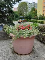Žlutý apartmán A6 v Chomutově - Bed and Breakfast Chomutov