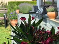 Das Haus am Berg - B&B Rathmannsdorf