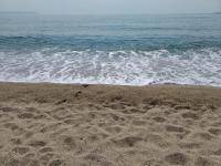 Poseidon rooms - B&B Néa Vrasná