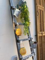 La casetta in collina - Bed and Breakfast San Remo