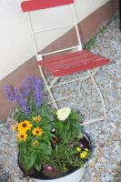 Pension Brandner - B&B