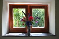 Familiehuis De Betuwe met prive kunstgras tennisbaan en sauna - Bed and Breakfast Erichem