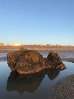 Queens Mansions Penny Stone Self Catering Luxury Apartment - B&B
