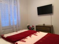 Suite con 2 Camere da Letto