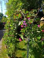 An der Alten Ziegelei - B&B Borna