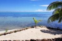 Villa Oona - B&B Maharepa