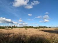 Herrliche Ferienwohnung in idyllischer Landschaft - B&B Morsum