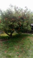 Worcester Town Home & Garden - Bed and Breakfast