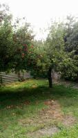 Worcester Town Home & Garden - Ferienwohnung Hindlip
