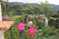 Cantinho Verde T3 - B&B Geres