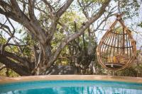 New Ruins Off-The-Grid SuperAdobe Domes with Pool - B&B San Francisco de Abajo