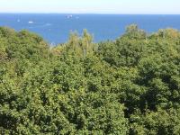 Apartament przy Bulwarze - B&B Gdynia