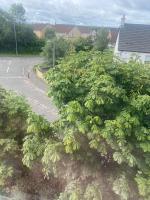 Renfrew Home from Home - B&B Renfrew