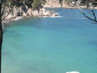Appartamento