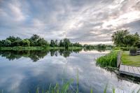 The Lily Pad - B&B